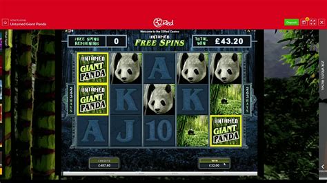 giant panda casino/